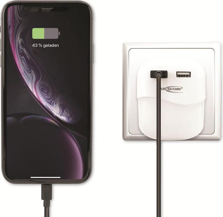 Actual product image Ansmann NL15AC + 2USB