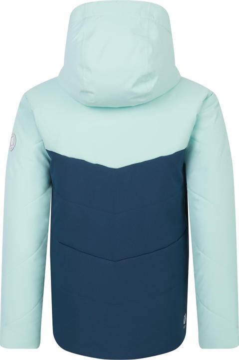 Actual product image Dare2b Childrens/Kids Jolly Padded Jacket (164)