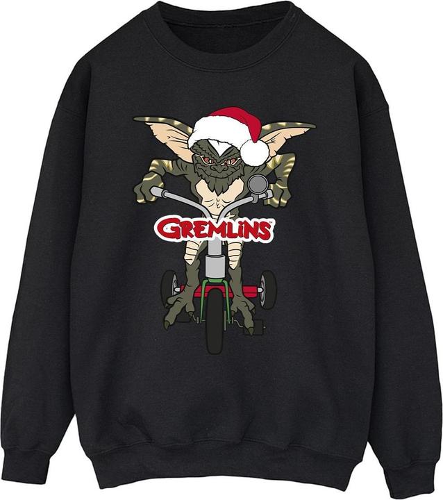 Image du produit Universal Textiles - Sweat BIKE LOGO - Homme (L)