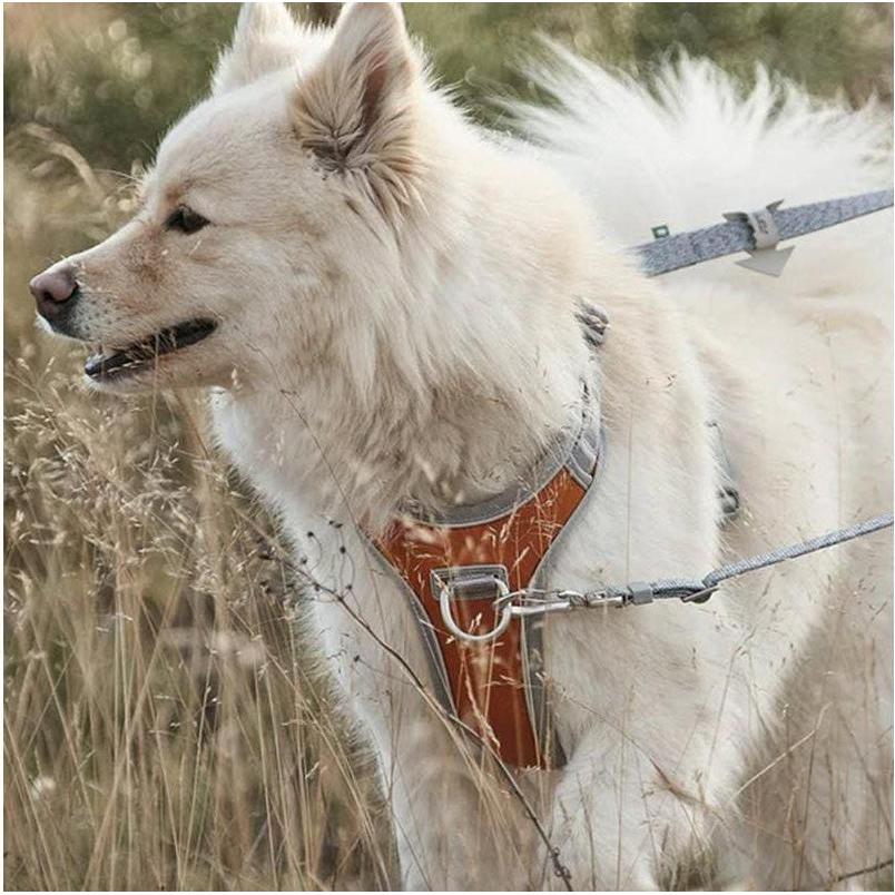 Thumbnail - Hurtta Geschirr Venture No-Pull, 45-60, Blau (45, 46, 47, 48, 49, 50, 52, 54, 56, 58, 60, Hund, Allgemein), Halsband + L...