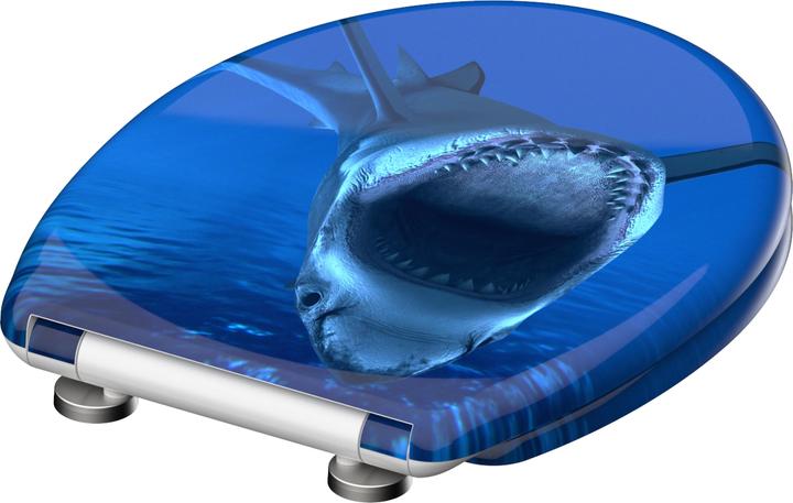 Actual product image Schütte Shark
