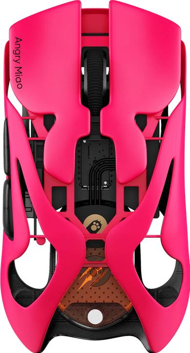 Rosa neon