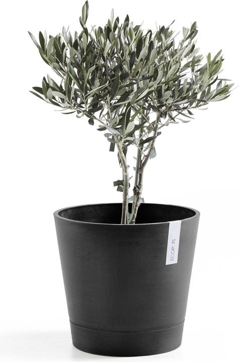 Produktbild Ecopots Venice (30 cm)
