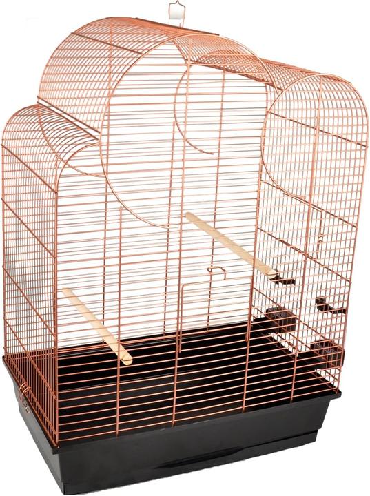 Image du produit Flamingo xyz