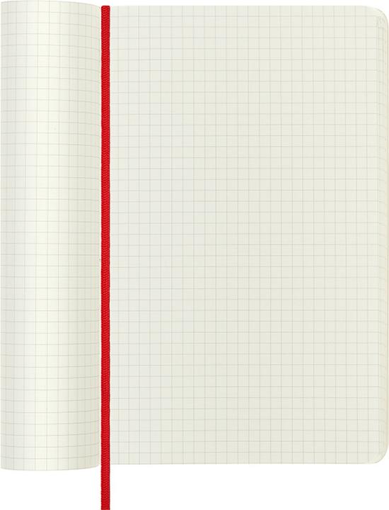 Actual product image Moleskine Notizbuch Large (Special, Checked, Soft cover)