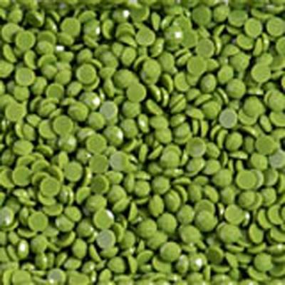Cornichon vert