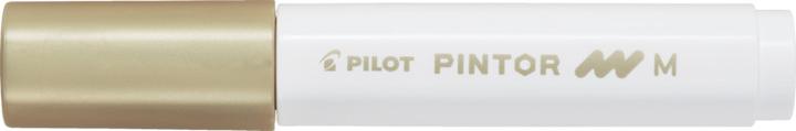 Image du produit Pilot Pintor Medium Set x6 Tropical (6x)