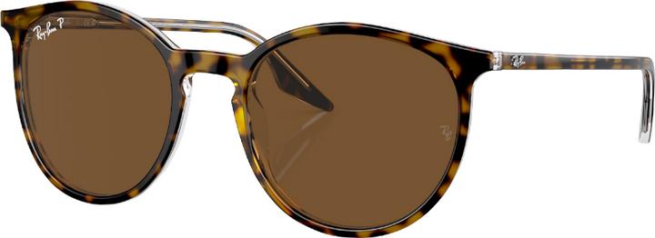 Ray Ban RB2204 brown polarized on havana/transparent M