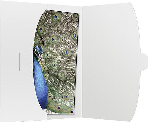 Produktbild Daiber 1x50 Schutzumschlag bis 15x20 (15 x 20 cm)