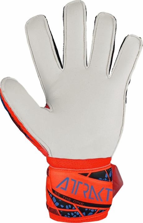 Actual product image Reusch Attrakt Solid Finger Support (6.5)