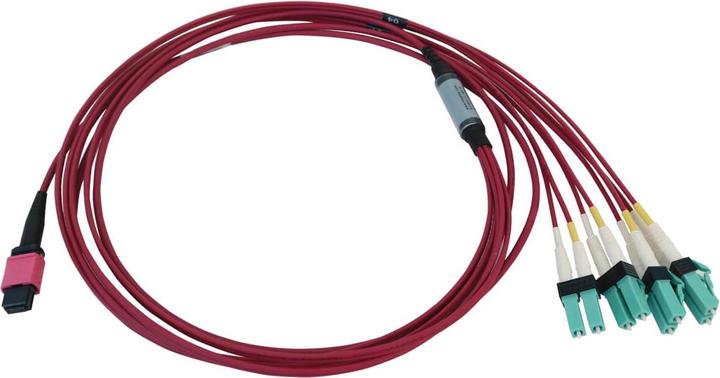 Actual product image Eaton 40/100G Multimode 50/125 OM4 Fibre Optic Cable 12F MTP/MPO-PC to 4x Duplex LC/PC F/M (2 m)
