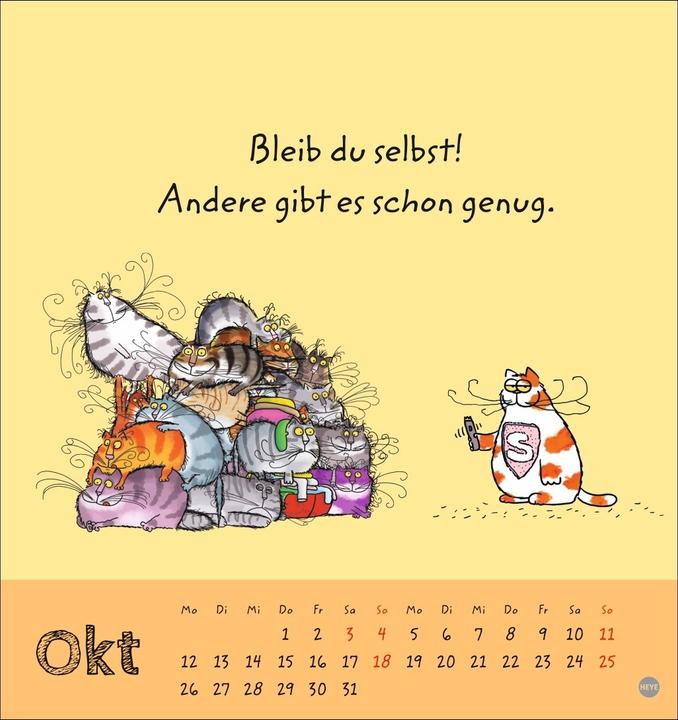 Produktbild Catzz Postkartenkalender 2026 (Postkartenformat)