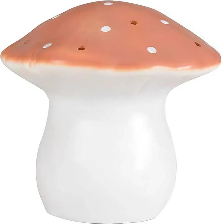 Produktbild Egmont Pilz Terra