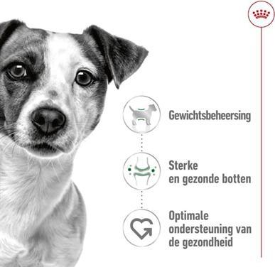 Produktbild Royal Canin Mini Adult - 4 Kg (Adult, 4000 g)