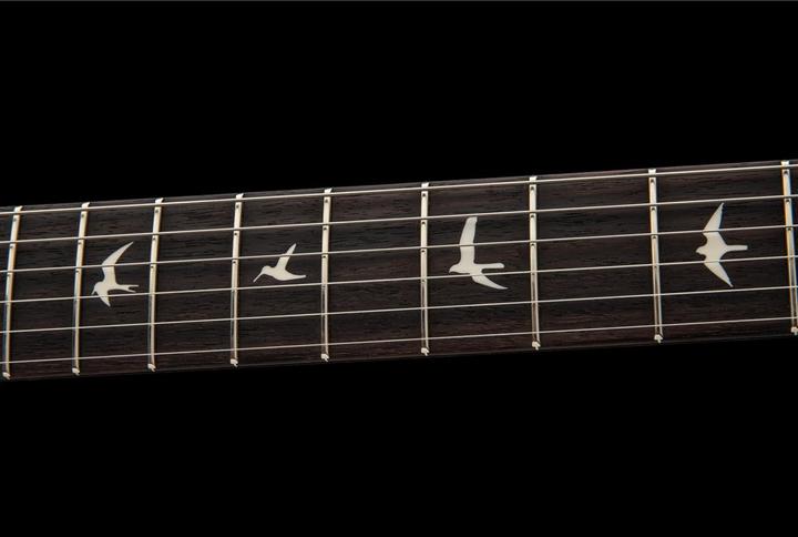 Produktbild PRS DEAD SPEC Silver Sky (E-Gitarre, Swamp Ash)