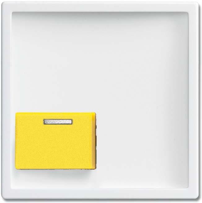 Actual product image Busch-Jaeger Central disc