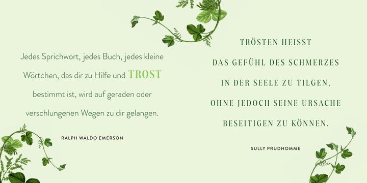 Image du produit Was bleibt, ist die Erinnerung (Allemand, 2024)