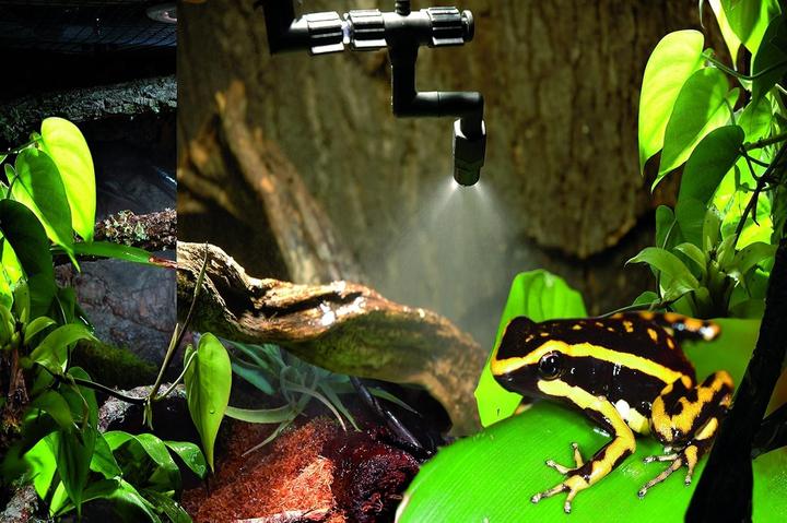 Actual product image Lucky Reptile Super Rain II (24 W)