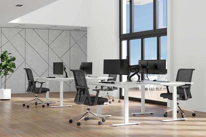 Productafbeelding Neomounts Select bureauhouder, dubbele disp (Tabel, 32.01")