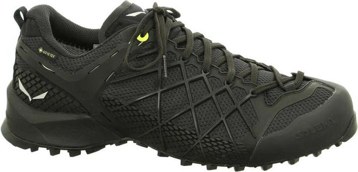 Produktbild Salewa Wildfire GTX Schuhe (44)