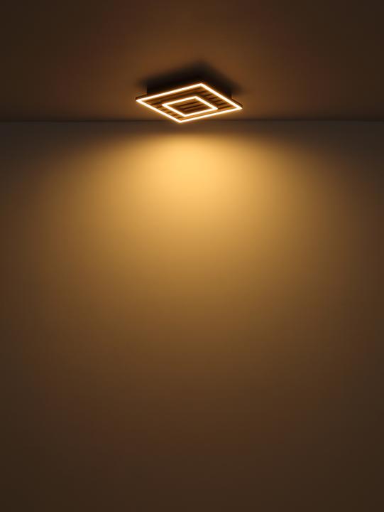 Actual product image Globo Woody (3820 lm)