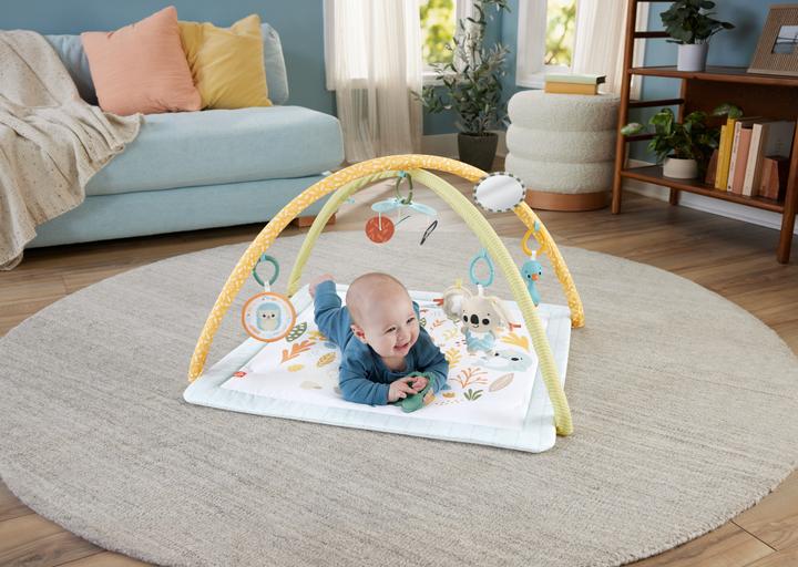 Produktbild Fisher-Price JMN74