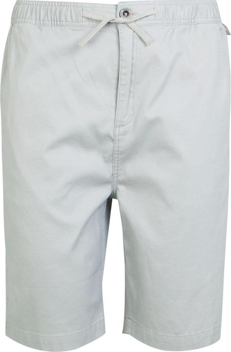 Actual product image Regatta Mens Aldan Chino Shorts (32)