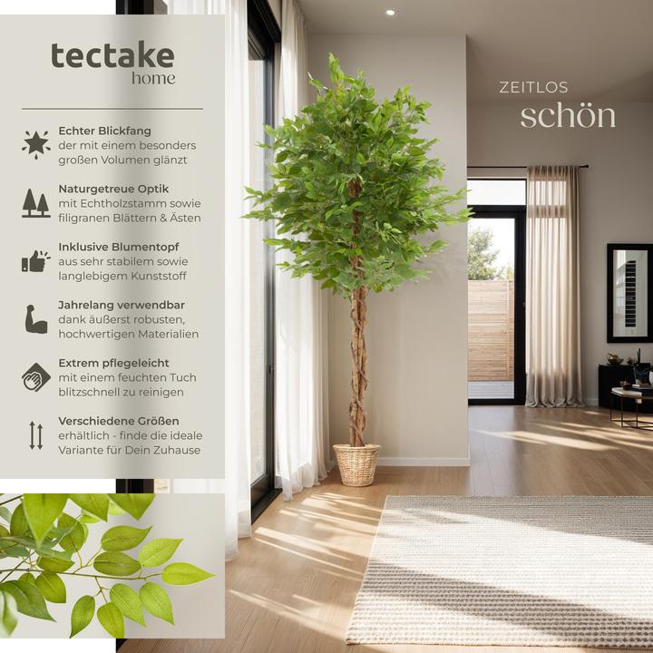 Produktbild tectake Ficusbaum Fida (180 cm)