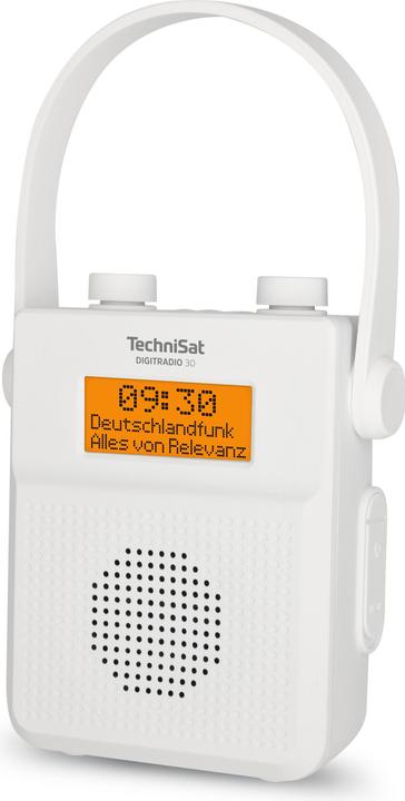 Actual product image TechniSat DigitRadio 30 (DAB+, FM, Bluetooth)