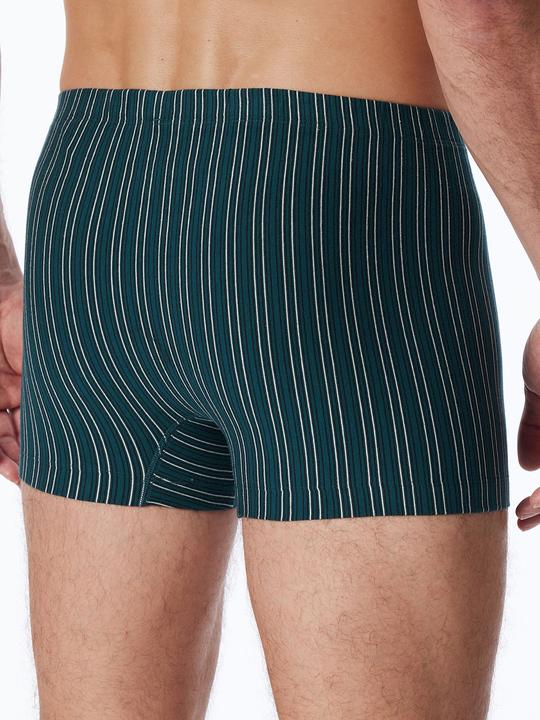 Image du produit Schiesser Trunk 95/5 Organic (paquet de 6)