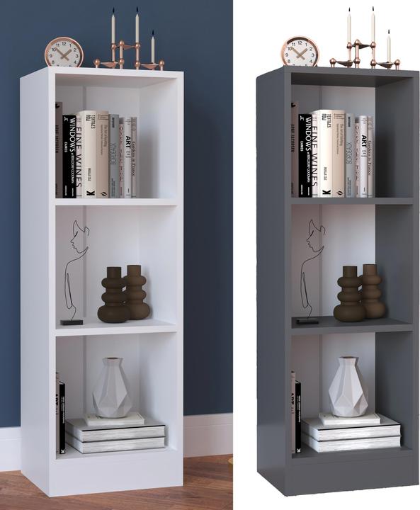 Image du produit VCM Bois Rangement Étagère sur pied Bibliothèque Déco Livres Étagère sur pied Dilos S 3 compartiments (38 x 30 x 114 cm)