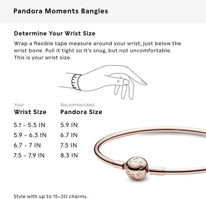 Immagine prodotto Pandora Bracciale Moments Rose (17 cm, Argento)