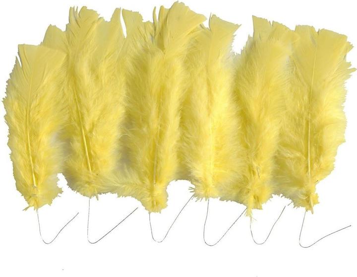 Actual product image Creativ Company Feathers with wire (turkey)