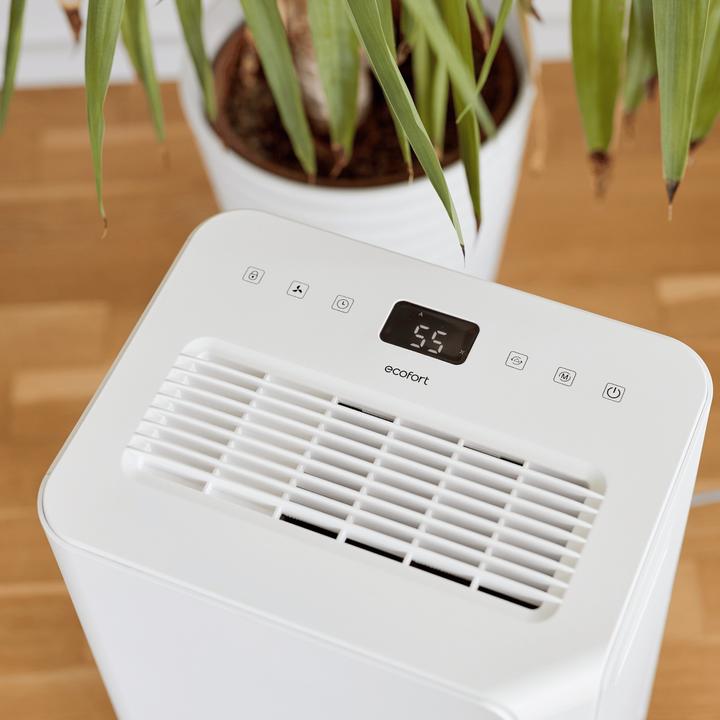 Produktbild ecofort ecoQ 20L Essential (50 m², 20 l/24h)