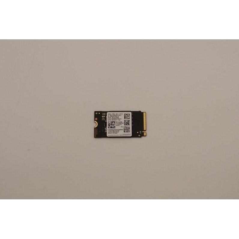 Lenovo Ssd asm (256 GB, M.2 2242), SSD
