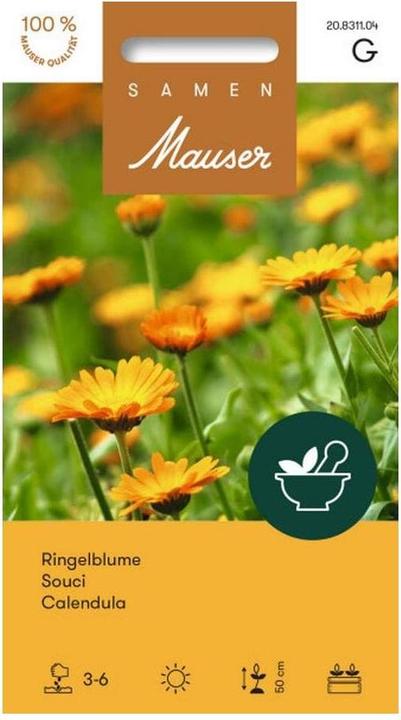 Samen Mauser Marigold (Plant seeds)