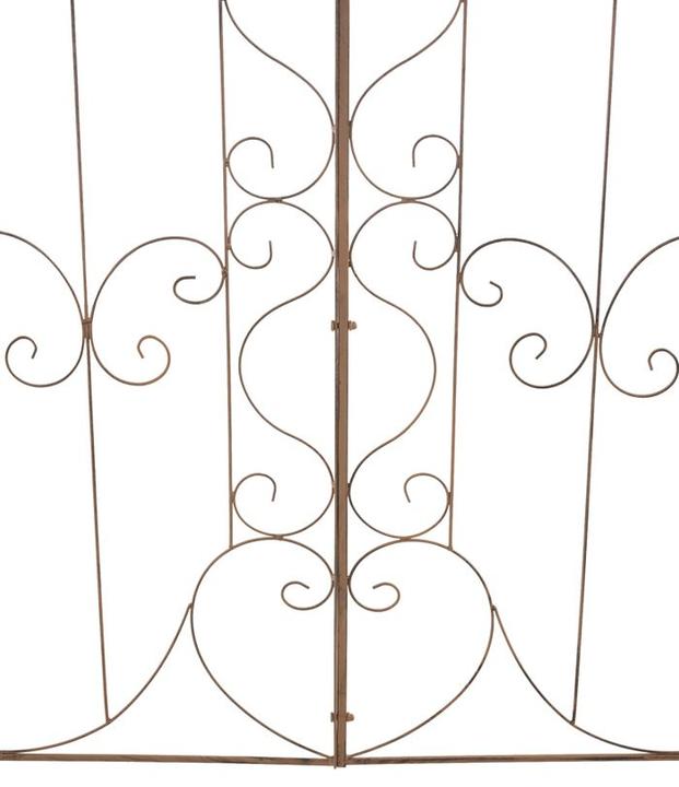 Actual product image CLP Mandevilla (1 cm, 99 cm)