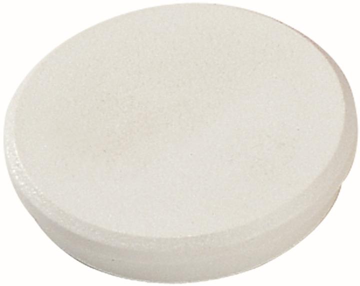 Immagine prodotto Dahle Magneti 95532.1 10 pezzi 32 mm bianco (10 x)