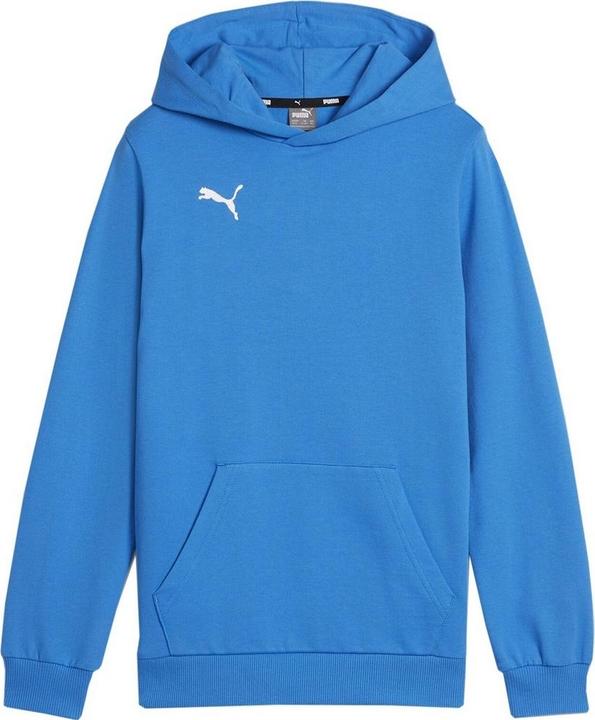 Produktbild Puma TeamGoal 23 Kapuzenpullover Leger (116)