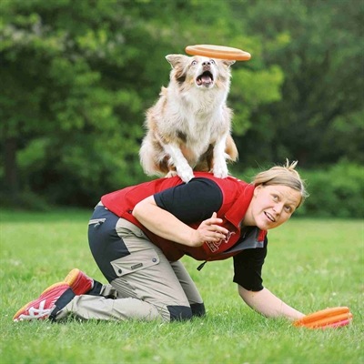 Immagine prodotto Trixie Attività canina Disco per cani (Cucciolata di cane giocattolo)