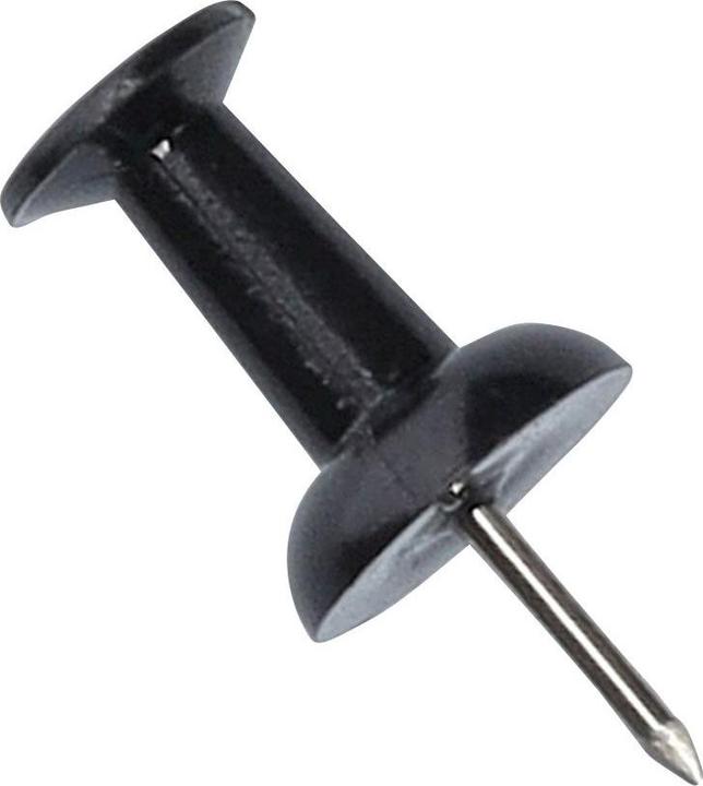 Actual product image Zeller Present Memopin (25x)