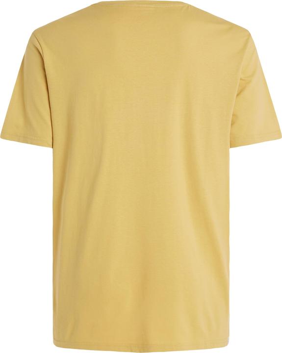 Produktbild Protest Herren-T-Shirt Prtsharm T-Shirt (XL)