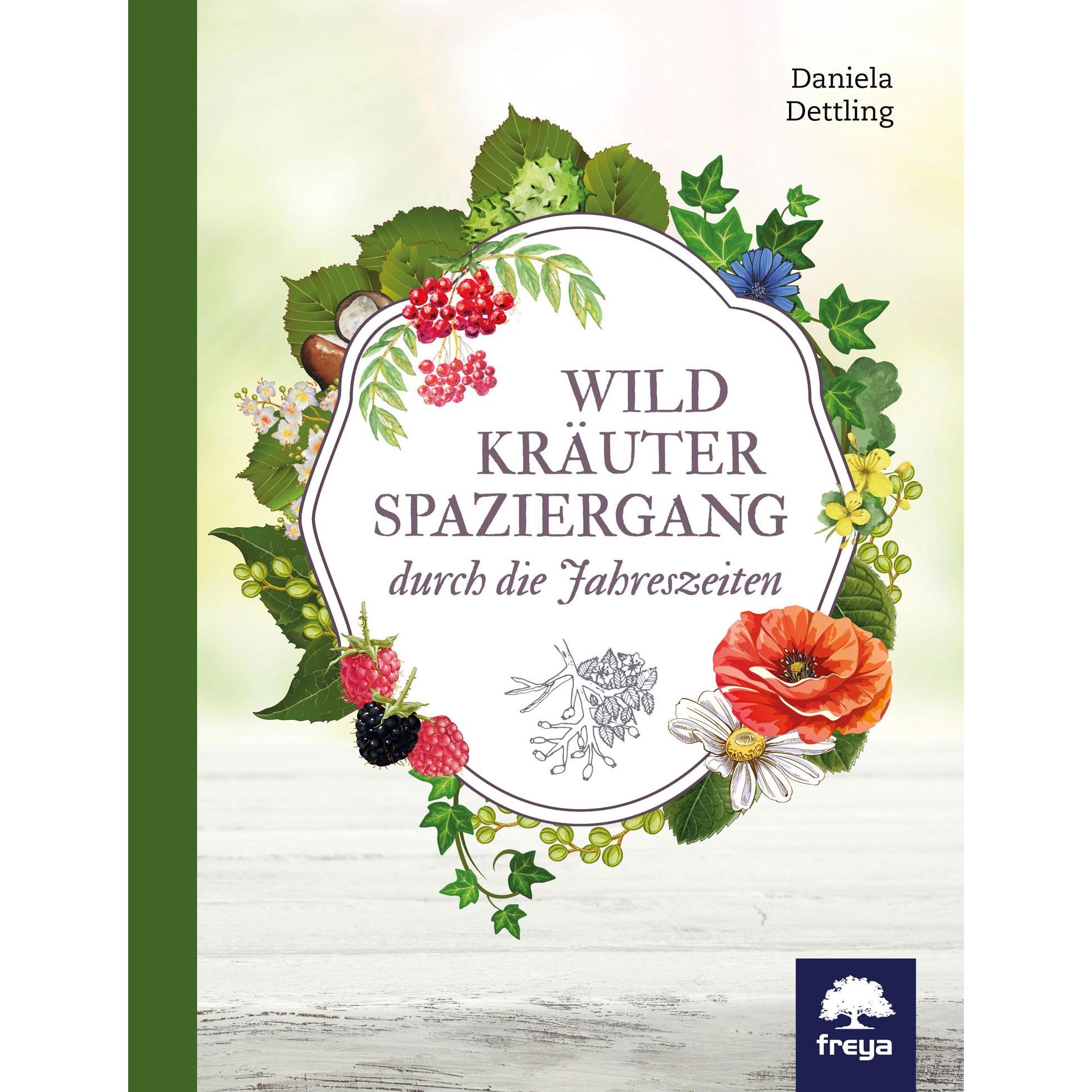 Wildkräuterspaziergang durch die Jahreszeiten, Ratgeber von Daniela Dettling