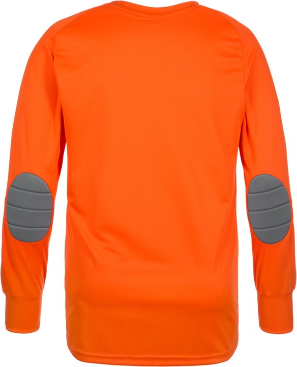 Actual product image adidas Assita 17 Goalkeeper (116)