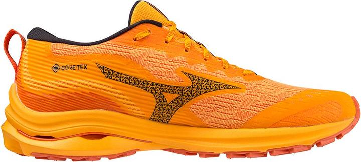 Image du produit Mizuno Wave Rider GTX (46)