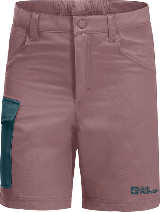 Ash Mauve