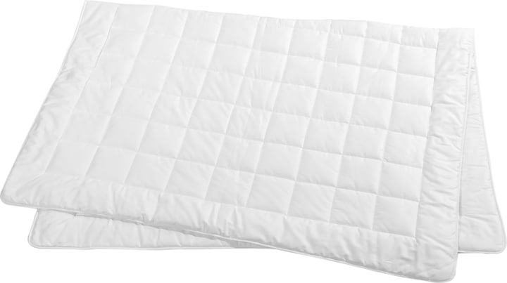 Produktbild Billerbeck Edition Silk Dreams (750 g, 200 x 210 cm)