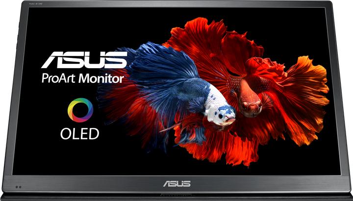 Actual product image ASUS PQ22UC (3840 x 2160 Pixels, 22")