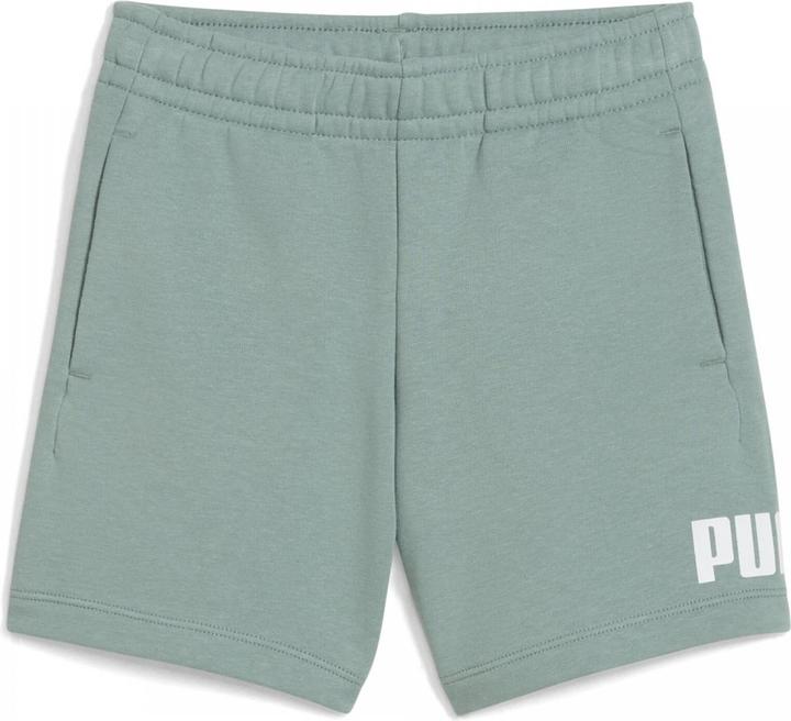 Produktbild Puma ESS No. 1 Logo Shorts TR PS (122)