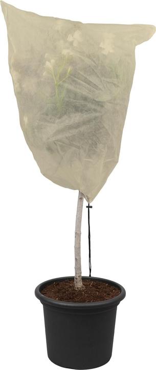 Colibri Winter Hood "Winter Hood" XL